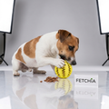 The SmartChew — Interactive Puzzle Ball