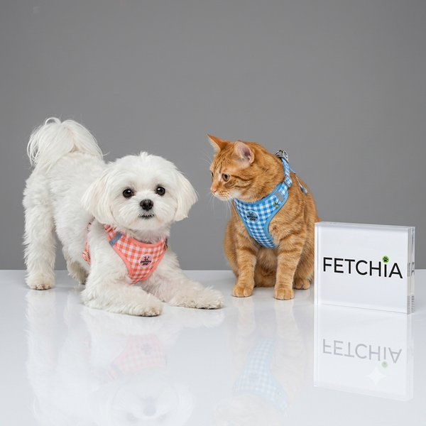 Breathable Step-In Vest Harness