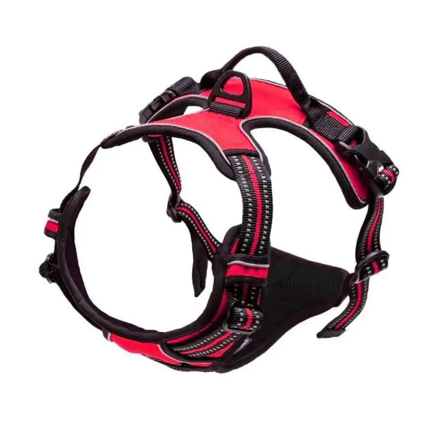 Tailored Escape-Proof Comfort Harness