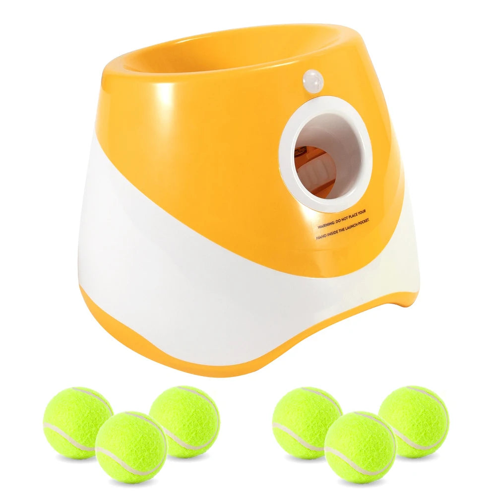 Rechargeable Automatic Fetch Machine